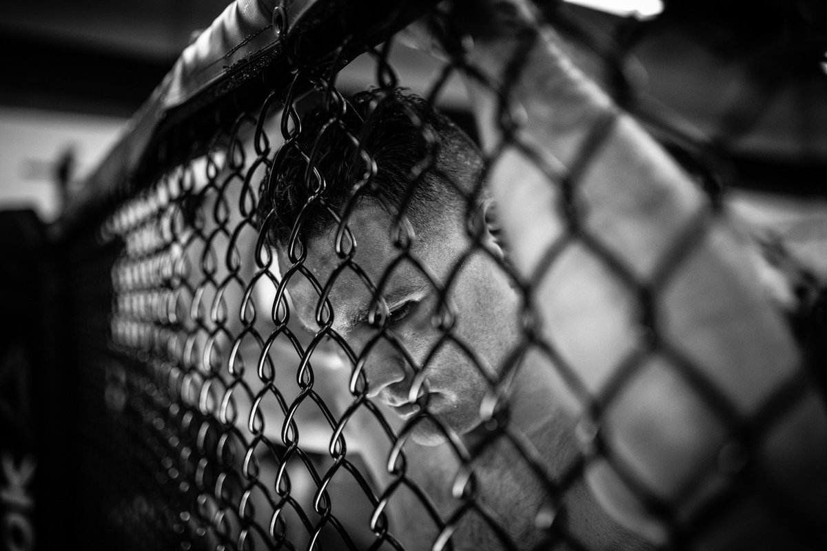 KauligSports's tweet photo. All the moments add up. Then, all that’s left is the now... Good luck to @chrisweidman 💪🏻 #ufcboston 

📸-@thefoxidentity https://t.co/IoY2kOipUr