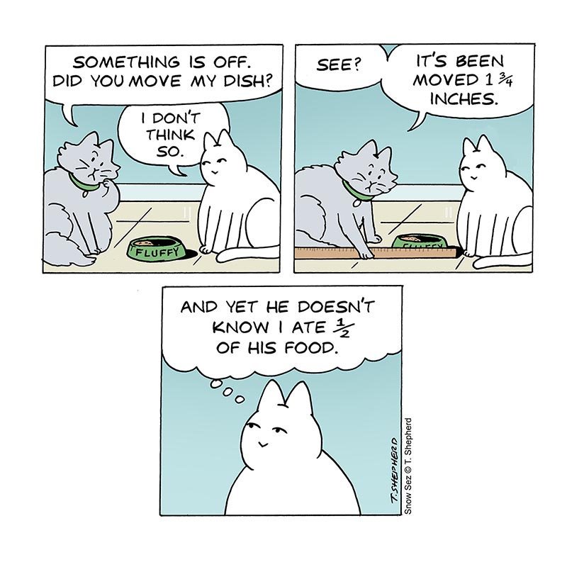 snowsez's tweet photo. Observant? 🤔
https://t.co/D11cAvOYWU
#ocd #ocdcat #observant #measurement #detailoriented #whatdoyoufocuson #focus #bigpicture #cat https://t.co/wFbKE4hHX2