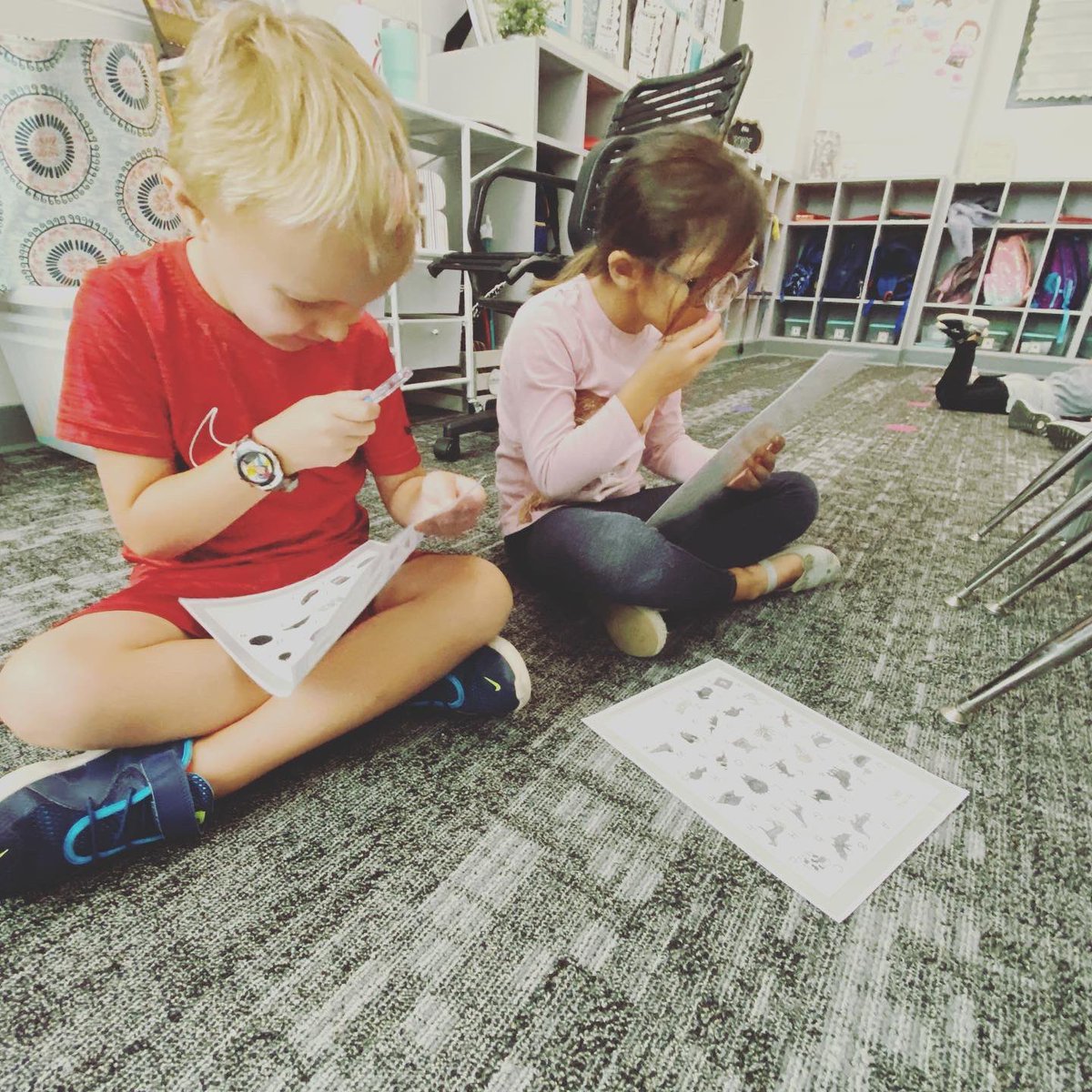 Jessica Rohde tweet media