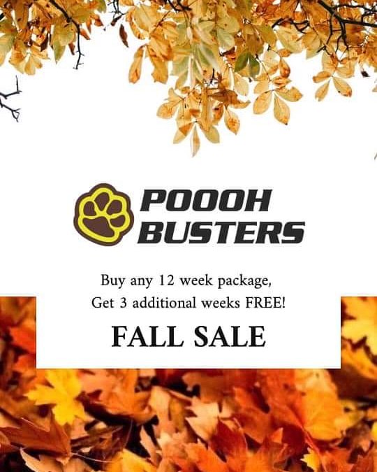 DroolYYC's tweet photo. @poooh_busters has a super good deal for fall! Who wants to search under leaves and snow? Let the professionals take of our business. ~ Diesel #doyoudrool #droolcrew #shoplocalyyc #supportsmallbusiness #supportyourfriends #dogpoop https://t.co/1Q1zKPVrkd