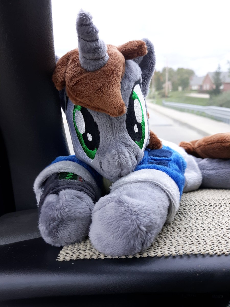 ChadthebadZman's tweet photo. Just got home and gave BIG HUGS to my new Bestie #littlepip from #falloutequestria ππ¦π Infinite Gratitude to the EXTREMELY TALENTED @KazzysPlush for making this sweet child O' mine #kazzysplush #mlp #brony #pipbuck #Thankyou https://t.co/KPk1yWhlRt
