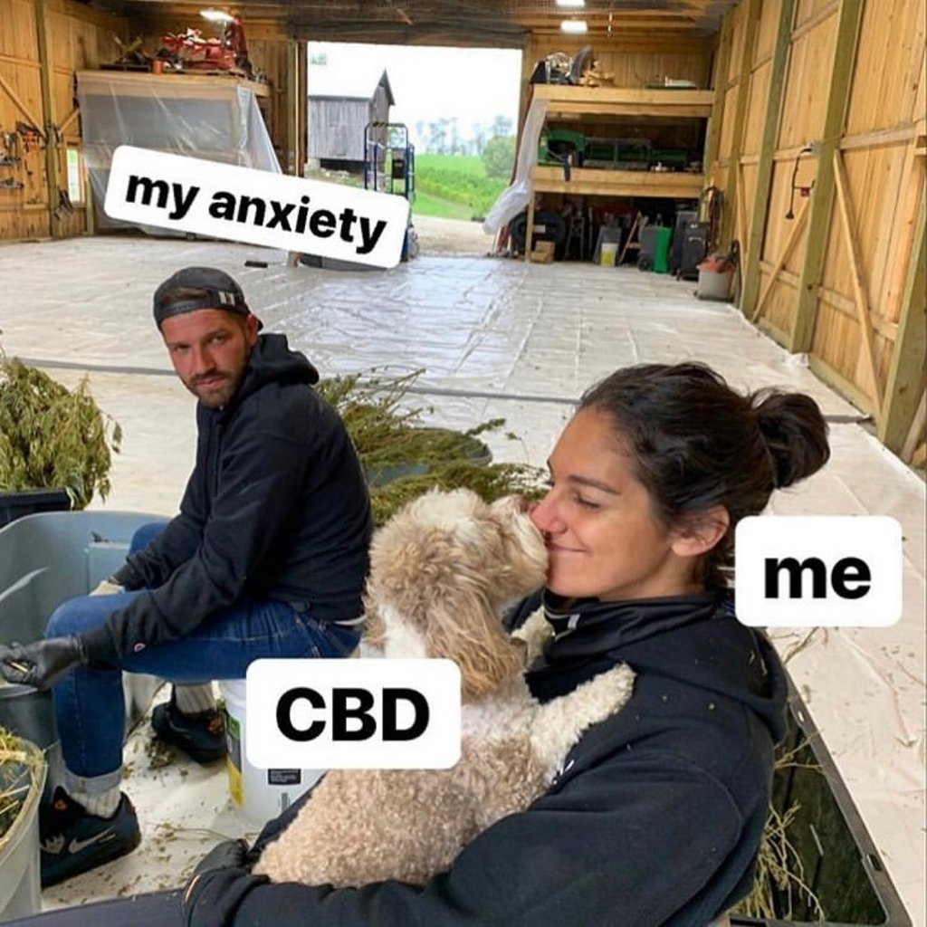 bella_shoppe's tweet photo. Truth! Check out CTFO'S amazing selection of cbd, pet, health and beauty products at https://t.co/m4tTM1AAM0
#CBD #cbdoil #Health #cbdlife #hemp #changingthefutureoutcome #ctfo #cbdlife #cbd #organiccbd #cbdoil #organiccbdoil #entrepreneurlife #cbdforstress #cbdforanxiety https://t.co/DoZE7AnrFM