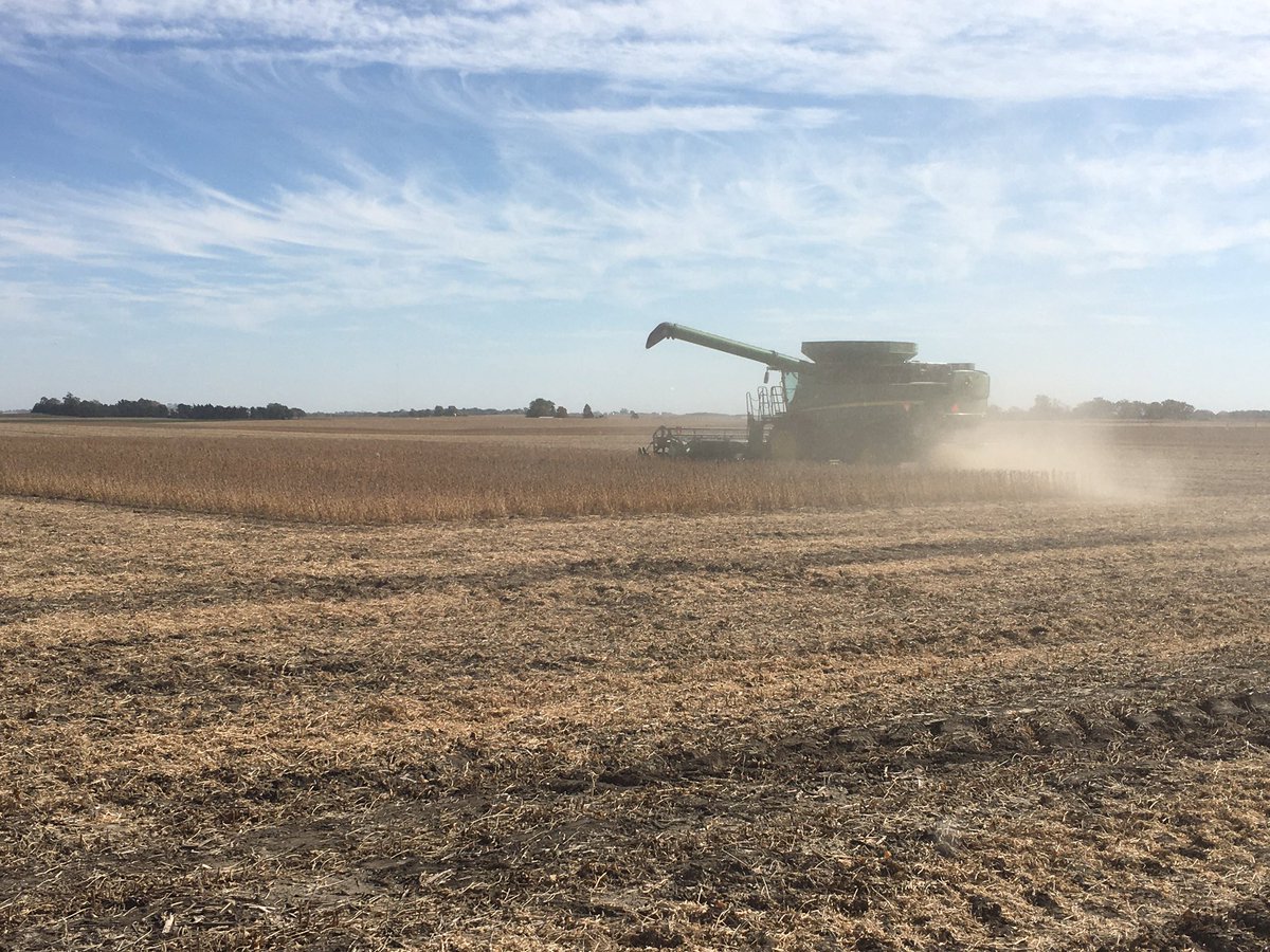 Bethany Drendel tweet media