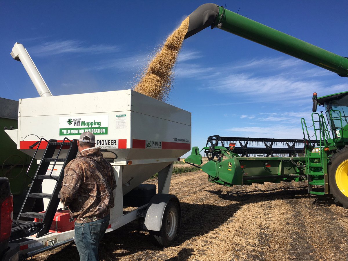 Bethany Drendel tweet media