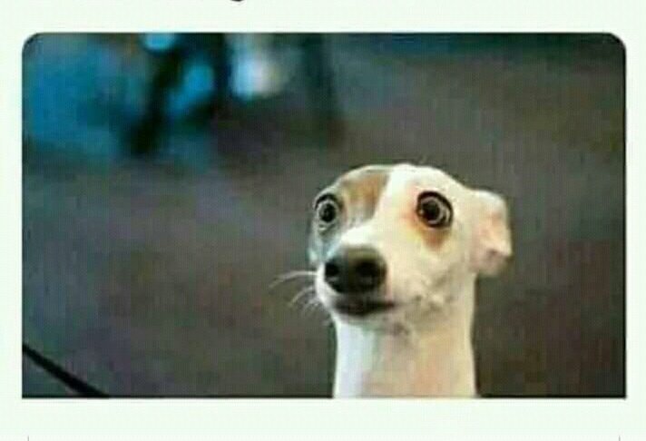 Luckymaphosa11's tweet photo. #YouKnowKuBadWhen 
Principal call my parents 
😑😑😏😏 https://t.co/WCfgS7SBwK