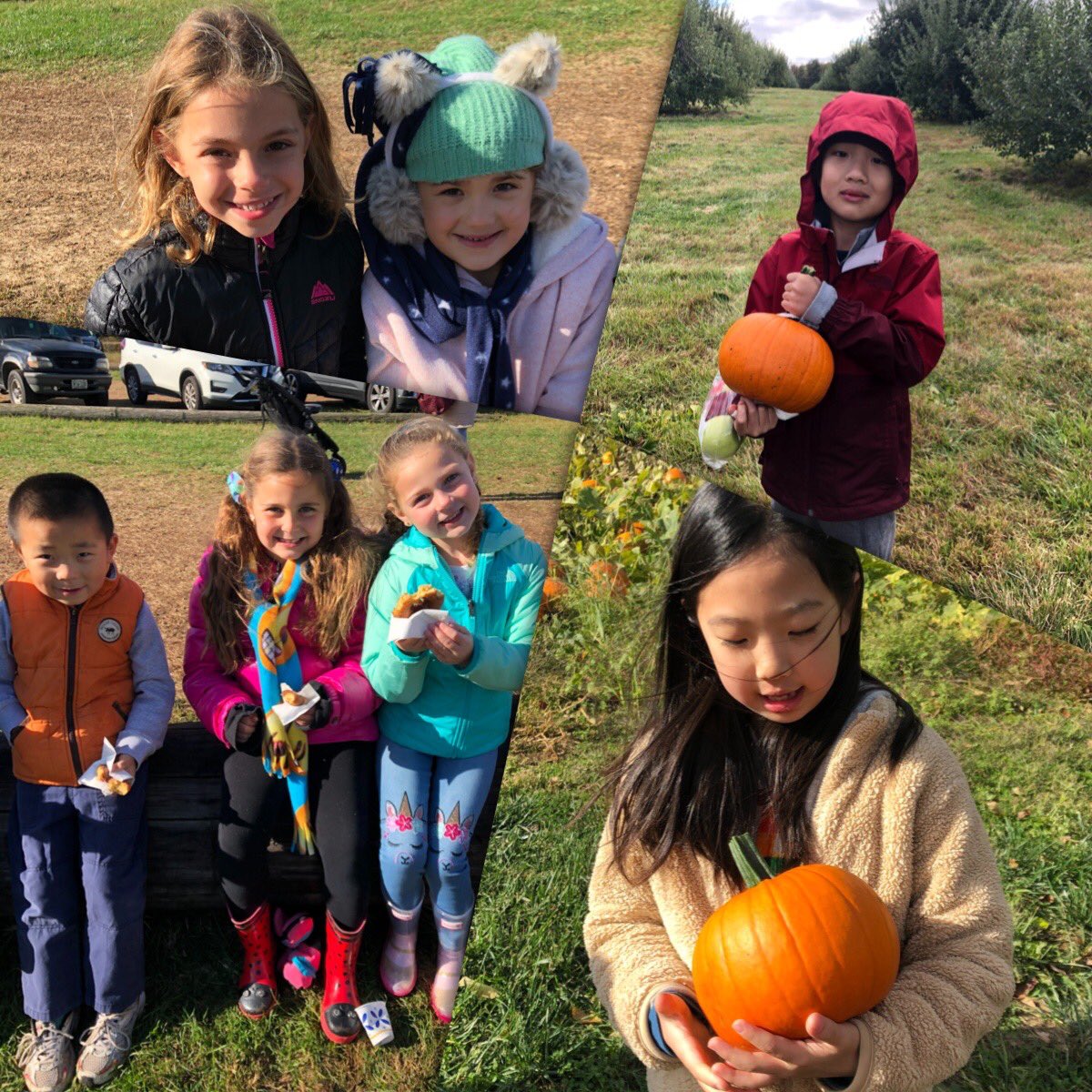 We had an awesome time at the farm today!!! What a great class trip! #firstgradefriends #TeamGreen #Harrisonfamily #applelifecycle #pumpkinlifecycle @HarrisonHawks90