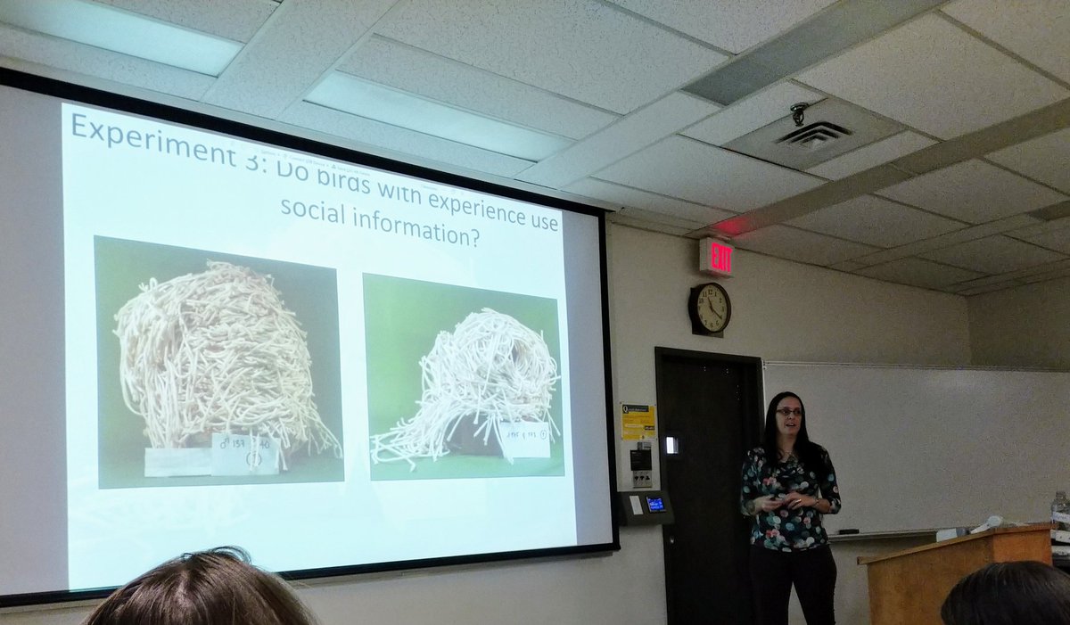 I've heard Dr. Lauren Guillette speak about her research many times, but today's seminar on zebra finch nest-buulding in the lab and field was my absolute favourite! @laurenguillette #WomeninScience #comparativecognition @Psych_UAlberta