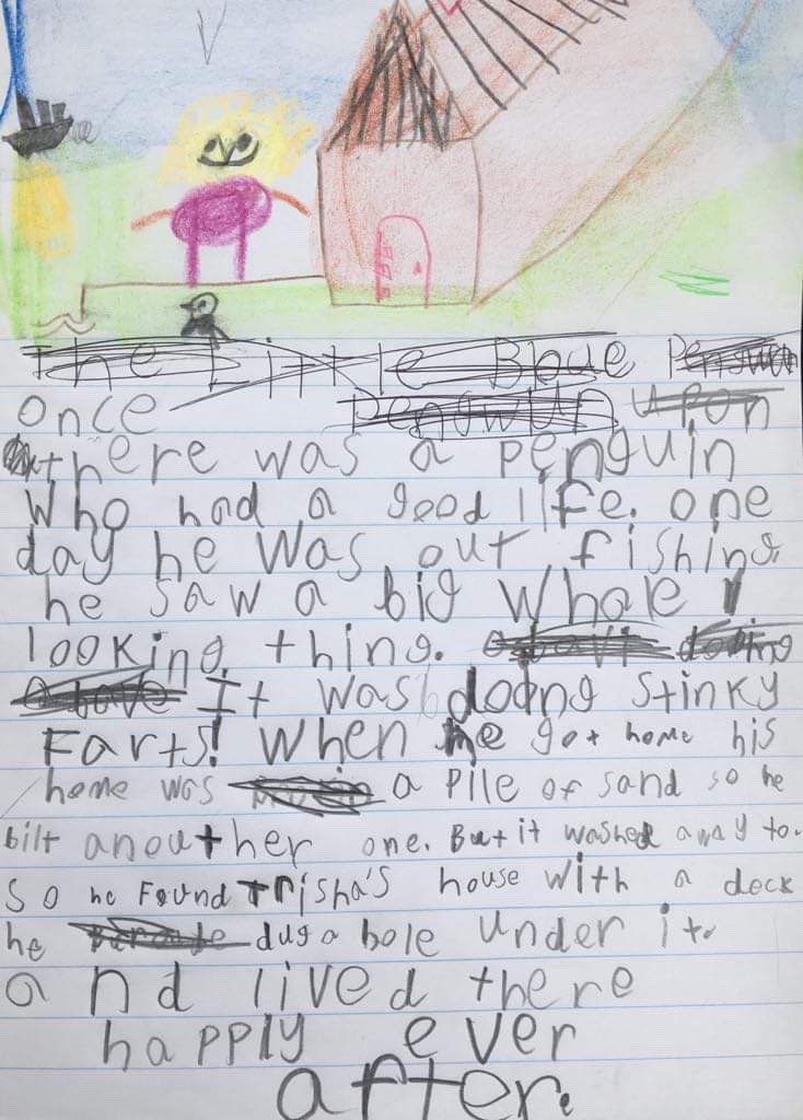 Here is another gorgeous story by a local child about the little blue penguin losing their homes. The big whale looking thing refers to a cruise ship. Did you know that little blue penguin won penguin of the year? #docgovtnz #sustainablecoast #DunedinNZ #otagoharboursos