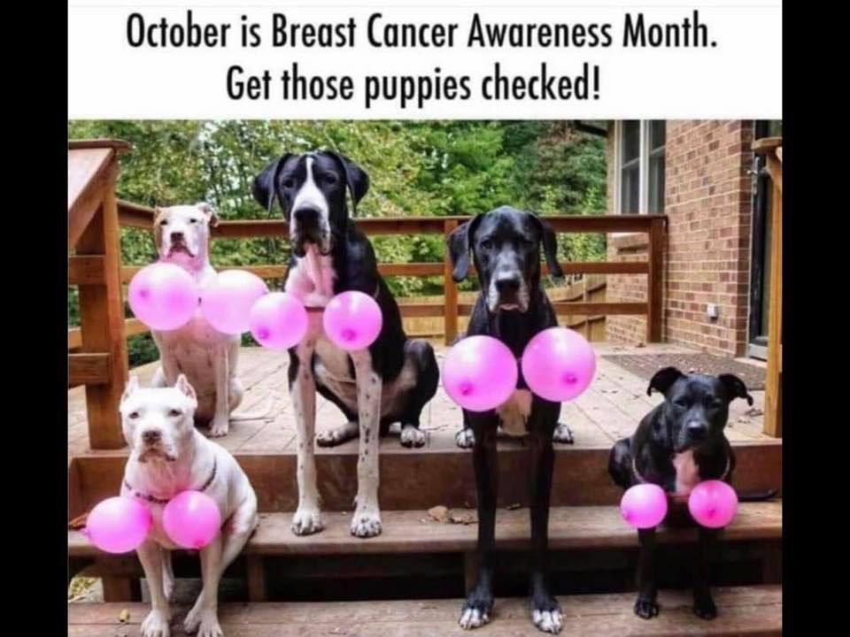 Angie Markham tweet media