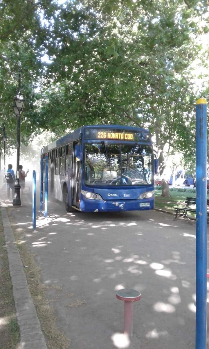 informanred's tweet photo. #AlertaIRED Bus del Transantiago circula por parque Forestal por falta de vías por donde transitar por protestas masivas en la ciudad. https://t.co/f8Xy1Vk6cf