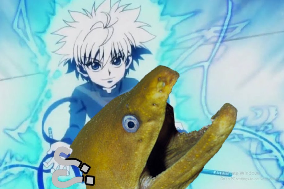Kdaddy Pa Twitter The Electric Eel Thrashed What The Fuck He Would Say If He Could Speak But He Was Just An Eel And Could Not Gon Cheered On His Friend As Kdaddy Pa Twitter The Electric Eel Thrashed What The Fuck He Would Say If He Could Speak But He Was Just An Eel And Could Not Gon Cheered On His Friend As