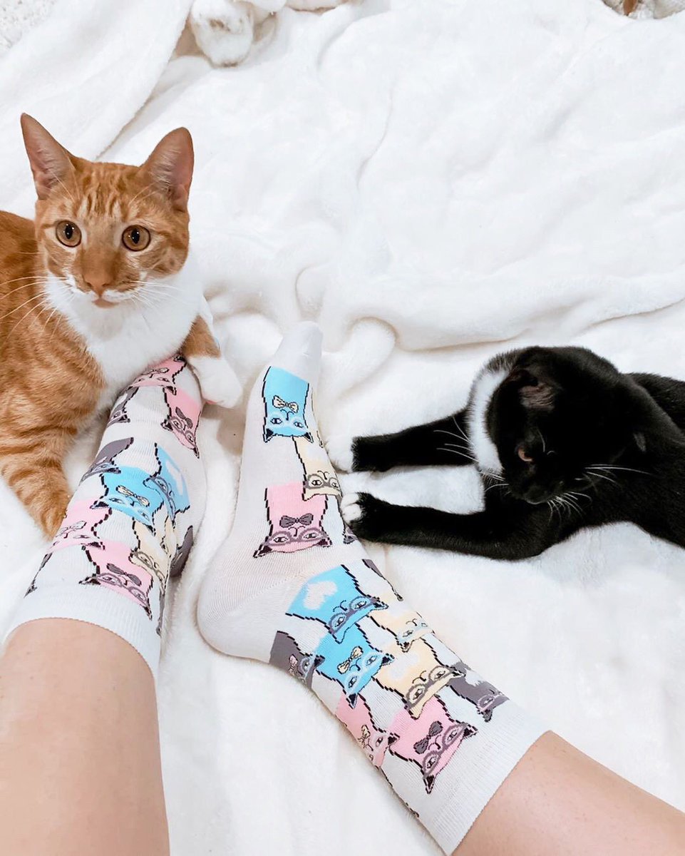 Friday night &amp; feline fine 🐱
#kbellsocks #funfashionalways
📸: <a href="/kacie_cooper/">Kacie Cooper</a>
.
.
.
#kbsocks #funfashion #funsocks #socksoftheday #catcuddles #fridaynight #fridayvibes #crazycatlady #catsocks #animalsocks #catmom #caturday ##fallfootwear #felinefine #fridaymood #fridayfeeling