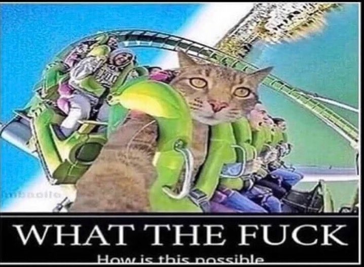 Life is a roller Coaster👍