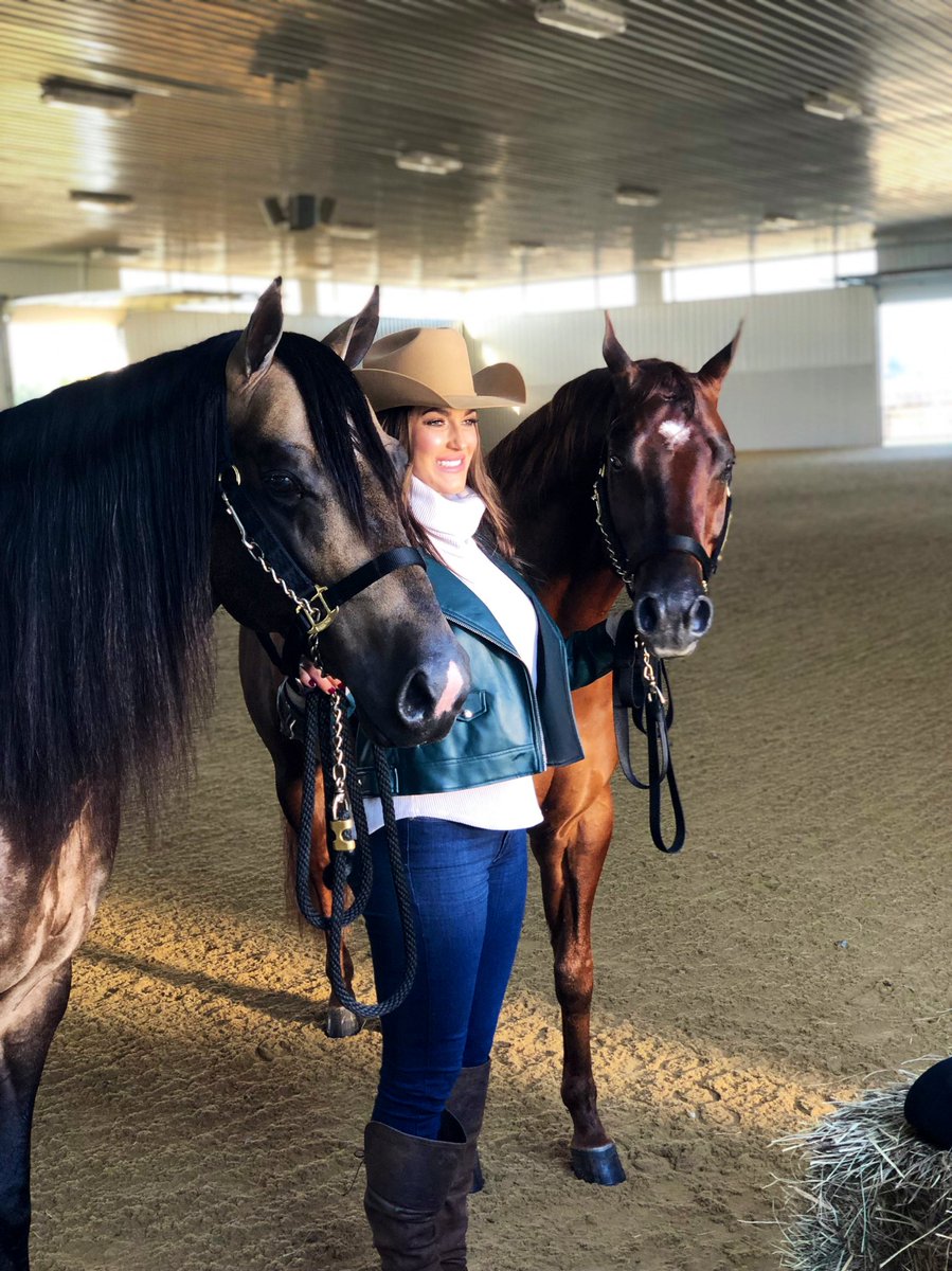 AlliThorson's tweet photo. Recapping my first year of competition in the @nrha discipline and circuit with my two boys! https://t.co/M9oMhj2m2y