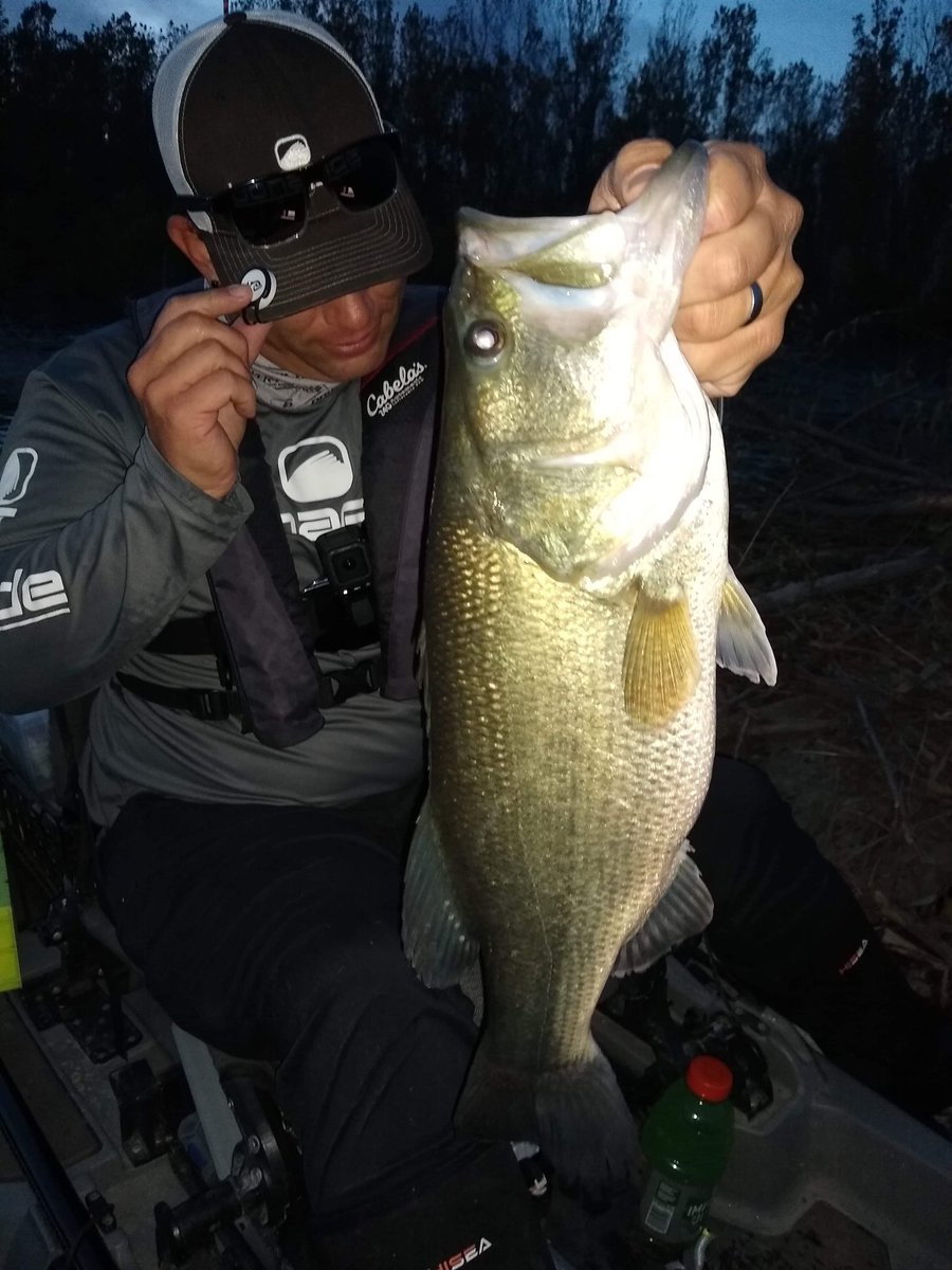 Kayak_Dizz's tweet photo. The bites were few..,
But they were B I G!
•
Team Mues Kayak Fishing
•
#TeamMues #Bonafide #BonafideKayaks #YakAttack #TeamYakAttack #kayakbassfishing #Anglr #bullseye #DING #Nebraska #Nebraskafishing #NGPC #outdoors #outdoorlife #nature #naturephotography #AdventureNE https://t.co/2nuPMN6bAJ