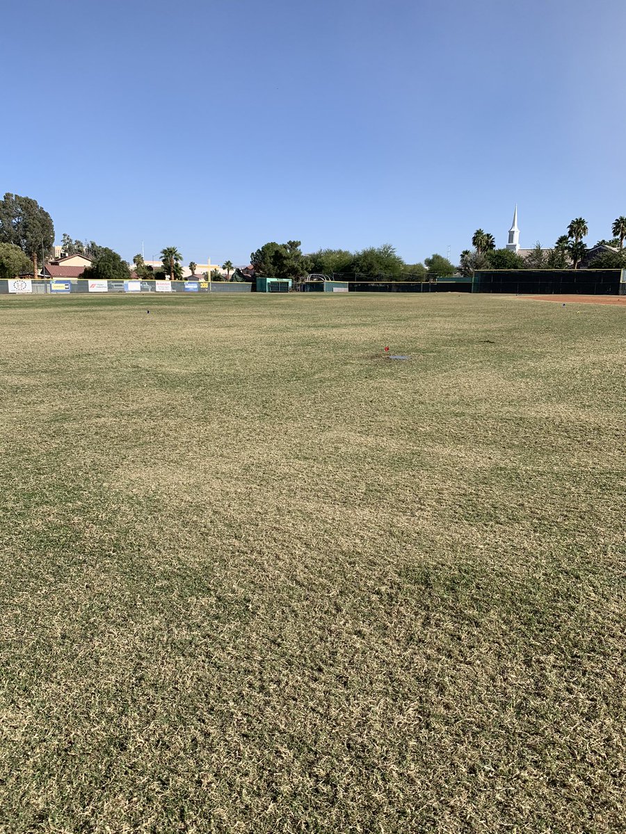 TurfGv's tweet photo. Dethatching and scalping for the overseed next week! https://t.co/LfGXhDXly8