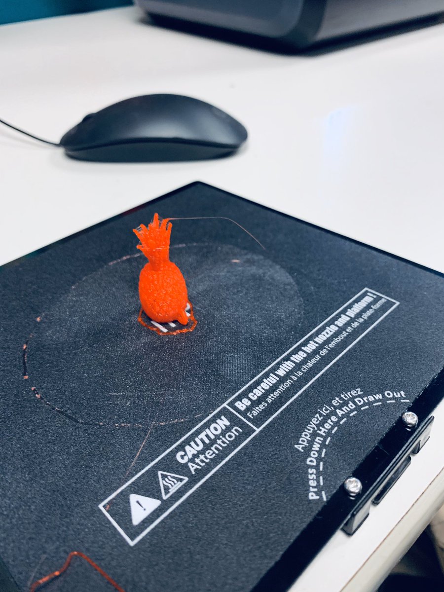 DenisecWright's tweet photo. @Polar3D @GEAdditive #GE3DPrint we are enjoying our 3-D printer and uploading our projects to the cloud. It makes creativity much easier. @mrjonesteaches @bogorcesky @DrJacieMaslyk #hcspdl https://t.co/ccpxkivQw2