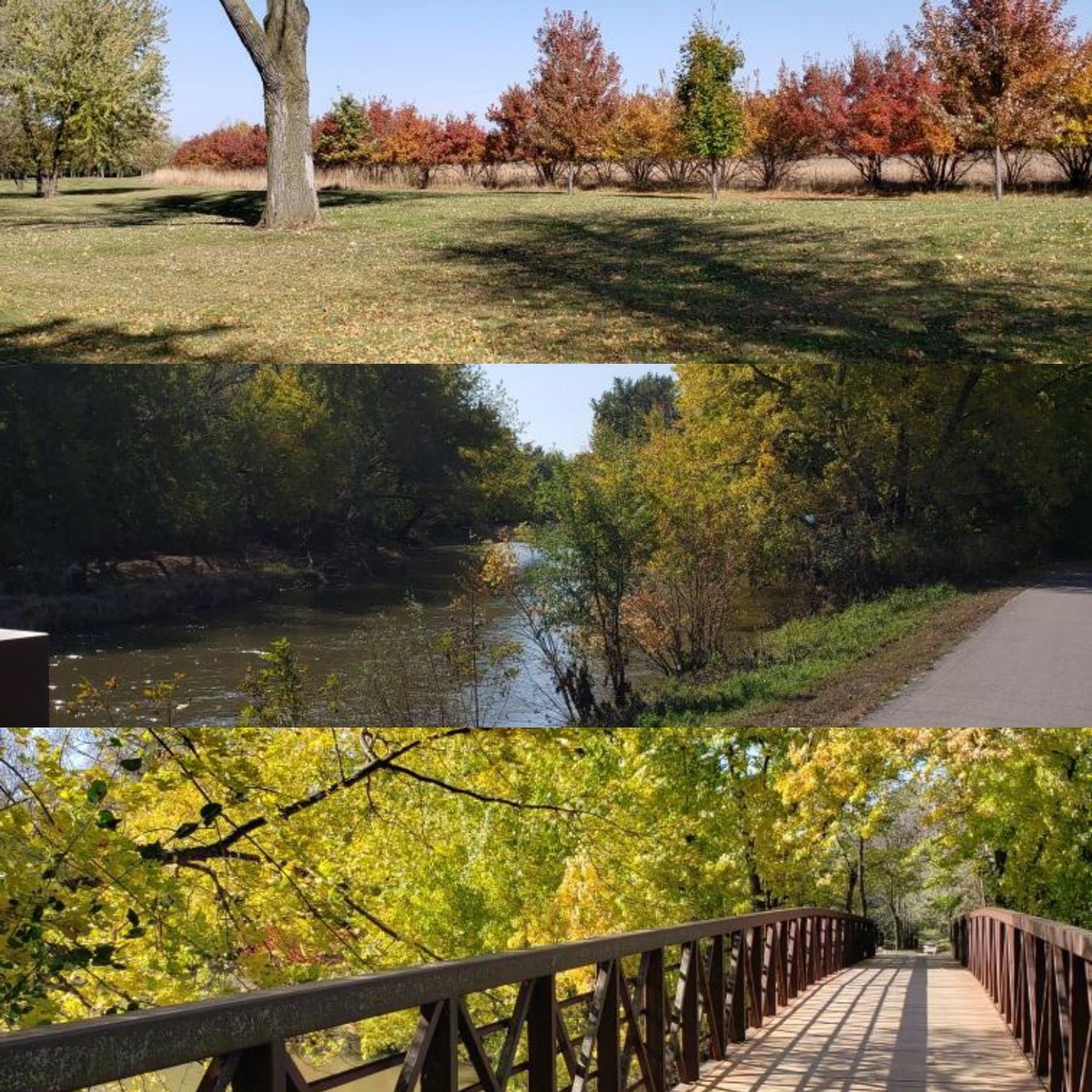 trick_run's tweet photo. Just can't hold on to these pics until next week...this is your Trick or Treat Trail Run Scenery!  Out marking the course today ....look at all of that spectacular Color!!  And they had some helpers too! https://t.co/ZMrFz4WuRf