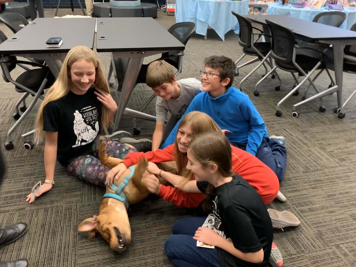 mrs.fulmerGIS tweet media