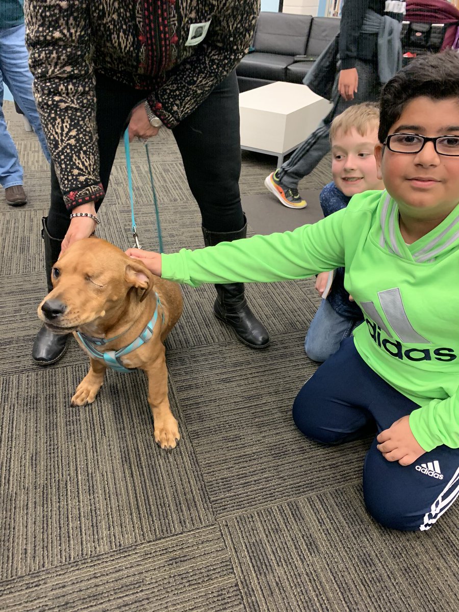 mrs.fulmerGIS tweet media