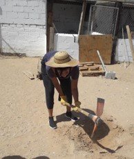 army_cdjuarez's tweet photo. Suga and Jhope Bday Project
by ARMY JRZ

Date: Agust 3, 2019
Donation of 50 USD and 20 USD (cleaning products and food for pet) to Asociación de Animales de la Calle (shelter for street dogs and cats) and volunteering work cleaning the shelter and planting trees.

@OneInAnARMY https://t.co/EiFO4oyhxt