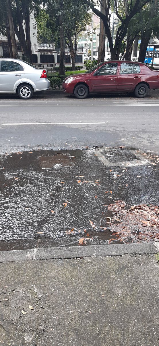 musicarli's tweet photo. Escasez tremenda de agua en la @BJAlcaldia y una fuga de agua en Patricio Sanz esquina con eje 6 @SacmexCDMX @STaboadaMx ayuda aquí por favor! @AlcaldiaBJ @En_laDelValle https://t.co/WTiHytAxm4