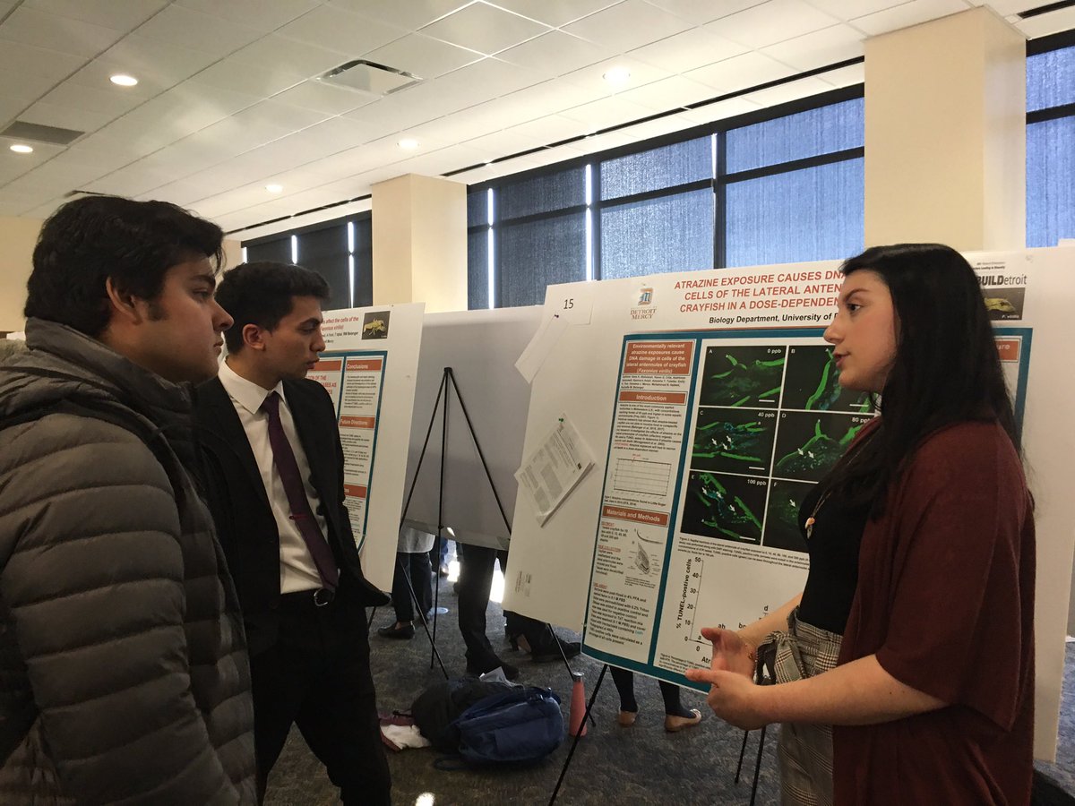 RMBelanger26's tweet photo. The #belangerlab and #evanslab took home research awards today at the @UDMces undergraduate and graduate research symposium. @BioDetroit @KendraREvans https://t.co/1r0j2Cvp9B