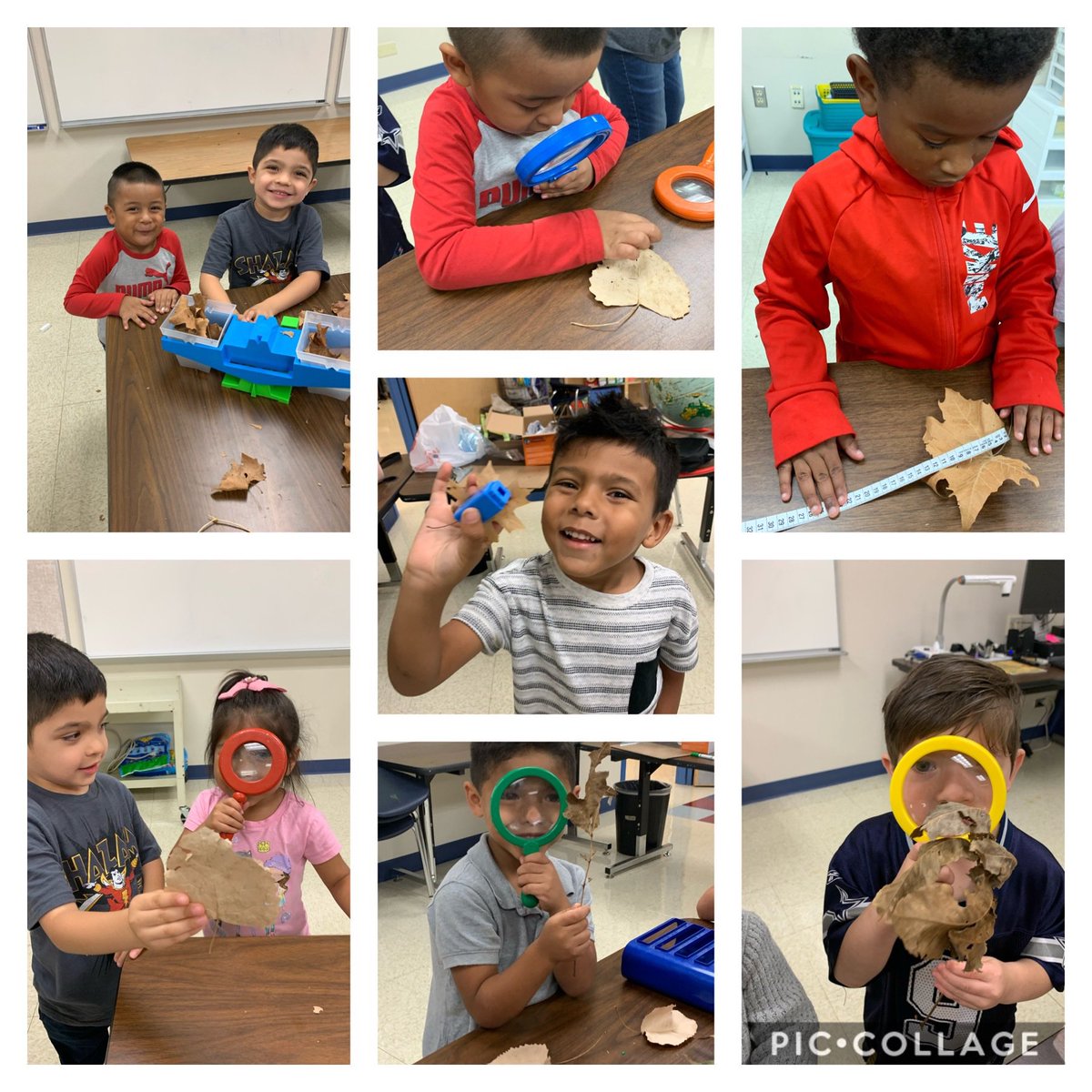 MrsHarness's tweet photo. Pre-K enjoyed going to the science lab today to measure leaves. #learningthroughexploring #OHThoot4themoon @BarbTriplettTX @NISDOHT https://t.co/4DM0YOkIhc