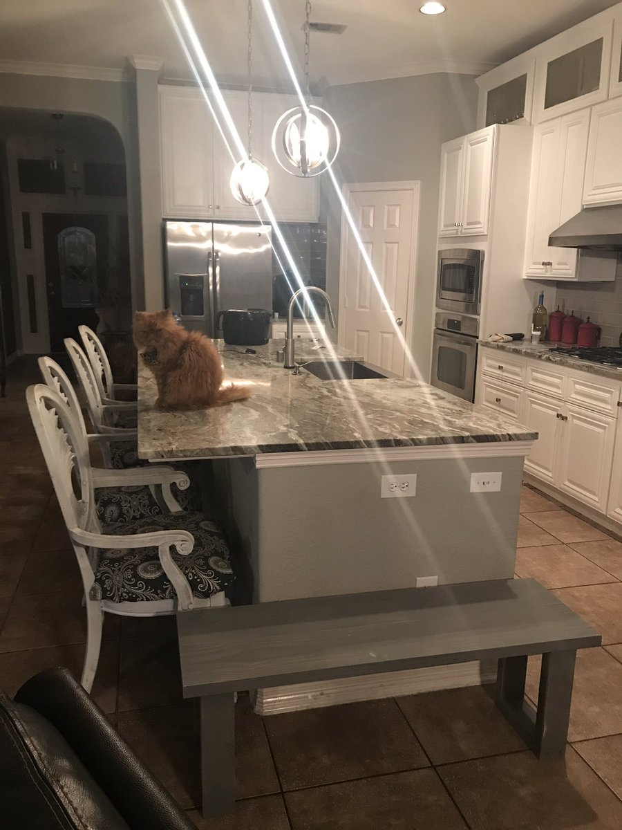 Purrrfect spotvfor the bench Grace made.