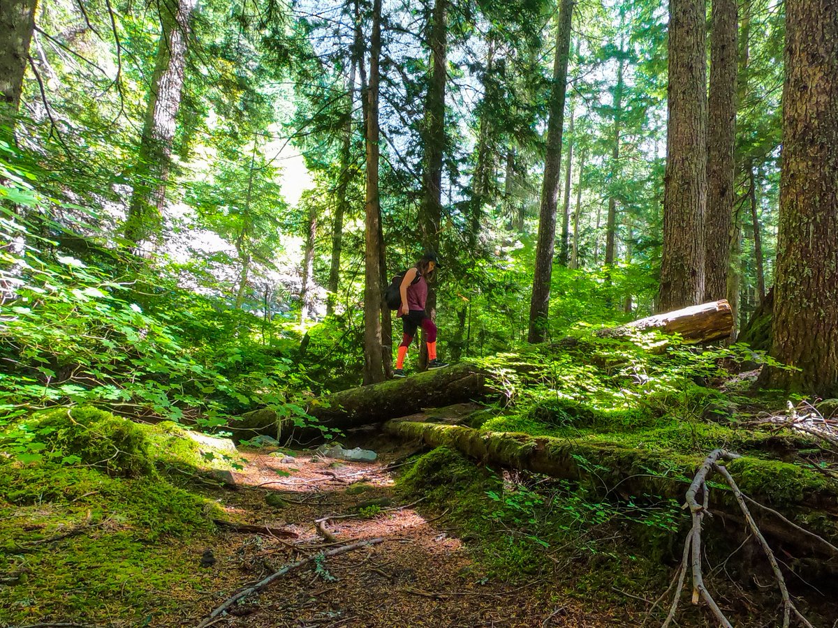 StorQuest tweet media