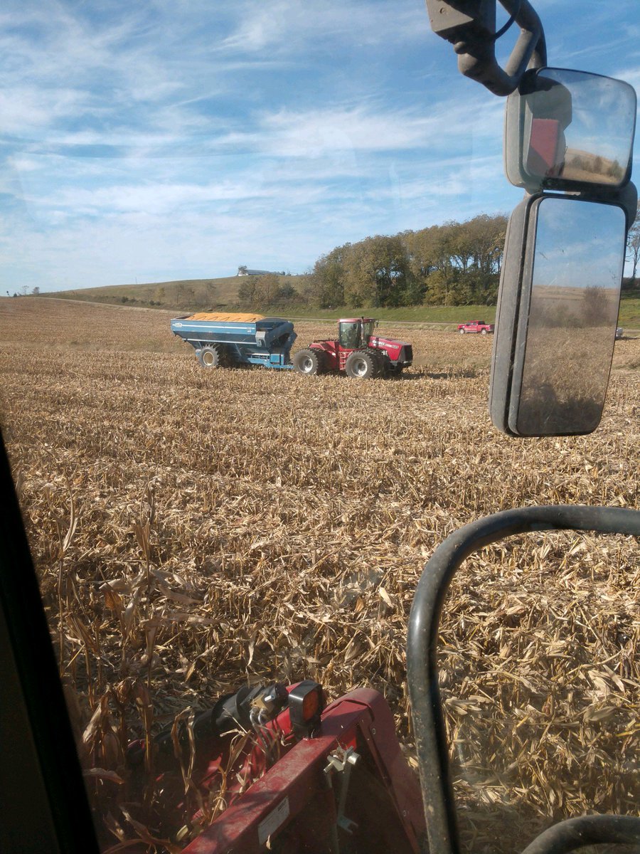 AgWest's tweet photo. It's a beautiful day in Atlantic, Iowa for some harvest action! Thanks for the #PickingPics David Wright! He shared that these are the best crops he has pulled off this farm! Nothing better! Send us your #PickingPics to win a post-harvest shop party! #harvest19 #recordyields https://t.co/V4wnLVWJLK