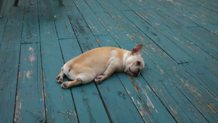 teachergoals's tweet photo. Yay! 
It's the weekend! 
What should I do?

*Walks in front door: https://t.co/lfuf0p8OSk