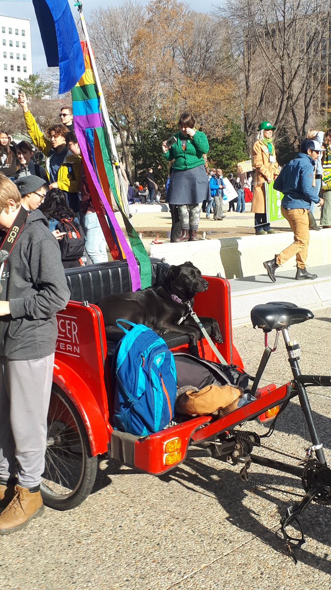 eatkinso's tweet photo. Radical doggos striking for climate action in Edmonton today!!! They refuse to sit, stay, OR roll over until we get serious about addressing climate change. I am told a hunger strike would be drastic but is NOT out of the question. https://t.co/GkQUkgG7Lm