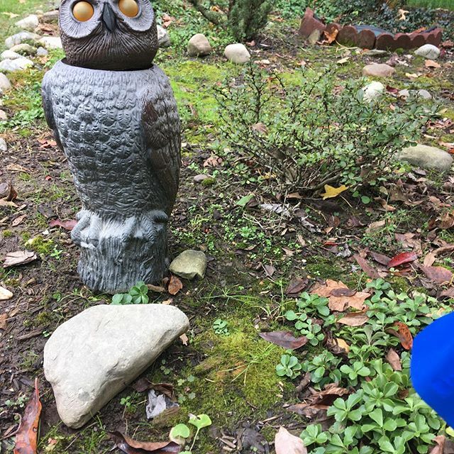 Sometimes you need  an extra set of eyes on a project. Clearly the client has come through for us. #rehobothbeach #lewesdelaware #lewesbeach #delaware #ownthenight ift.tt/2MREL1T