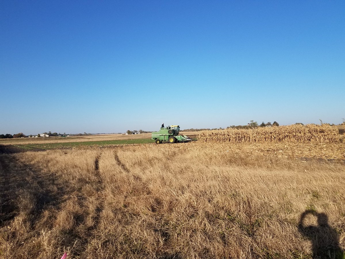 WarnkeResearch's tweet photo. #WRS has moved on to corn! https://t.co/mi9EazG3rt