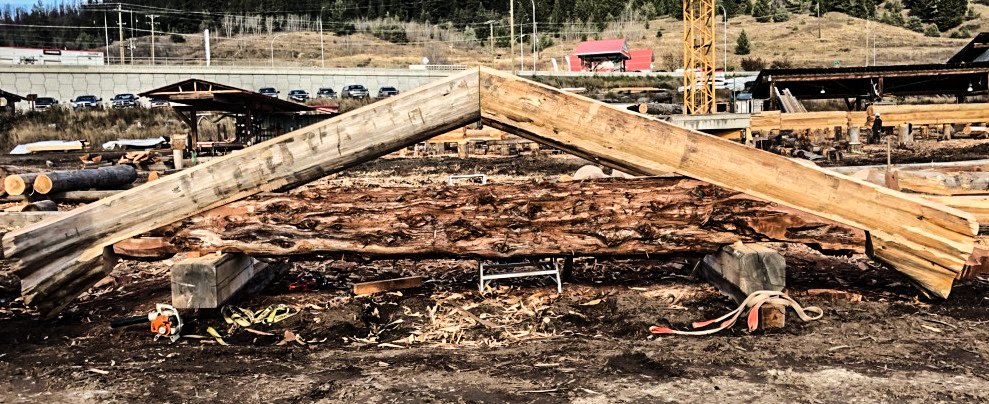 tk_brad85's tweet photo. Working on two unique side projects, on one hand we have a custom entry gate on the other we are preparing this GIANT tree so clients can design there entire home around it!

#finestloghomesonearth #timberkings #westernredcedar https://t.co/vGFwhNlJf5