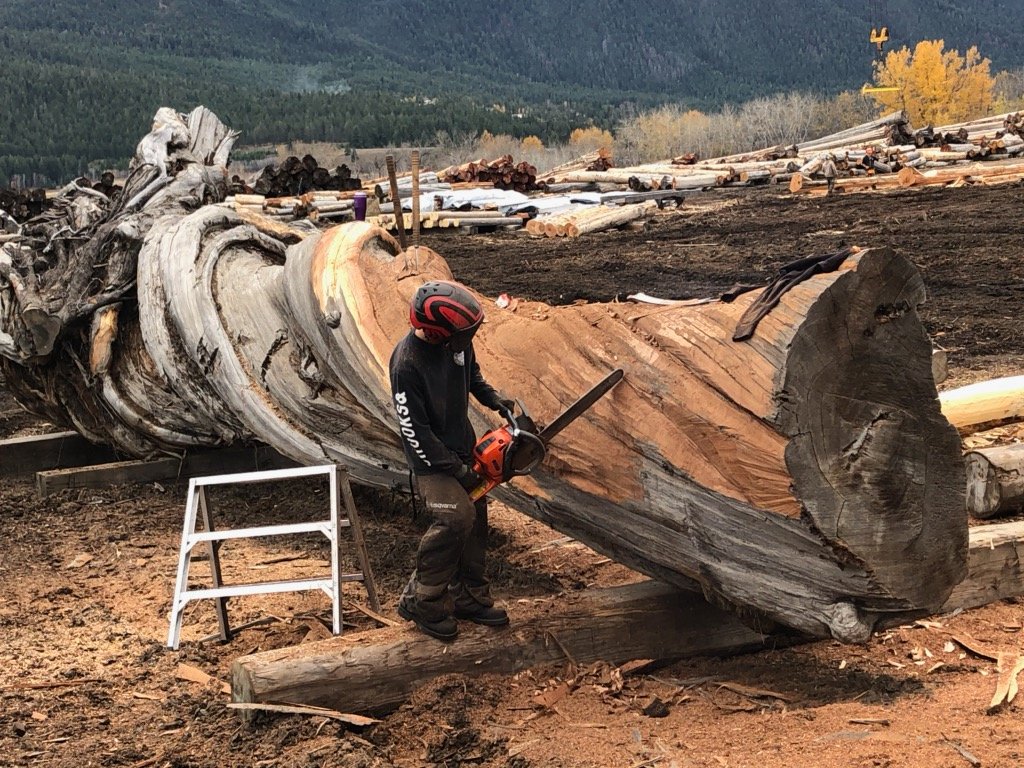tk_brad85's tweet photo. Working on two unique side projects, on one hand we have a custom entry gate on the other we are preparing this GIANT tree so clients can design there entire home around it!

#finestloghomesonearth #timberkings #westernredcedar https://t.co/vGFwhNlJf5