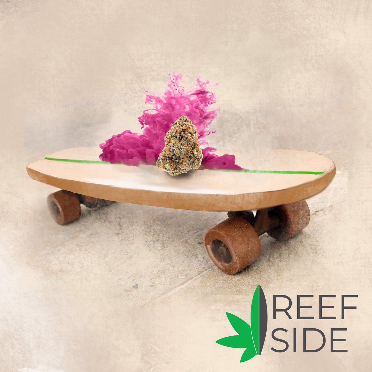 reefsidesc's tweet photo. https://t.co/tFwun1Earz