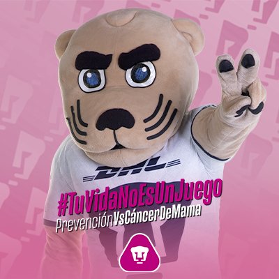 PumasMX's tweet photo. Ganemos el partido contra el cáncer. Agrega este marco a tu foto de perfil y apoyemos la campaña de prevención del cáncer de mama.

Agrega tu marco aquí: https://t.co/w3joEtceOm

#TuVidaNoEsUnJuego #SoyDePumas https://t.co/OPoDp25jbX