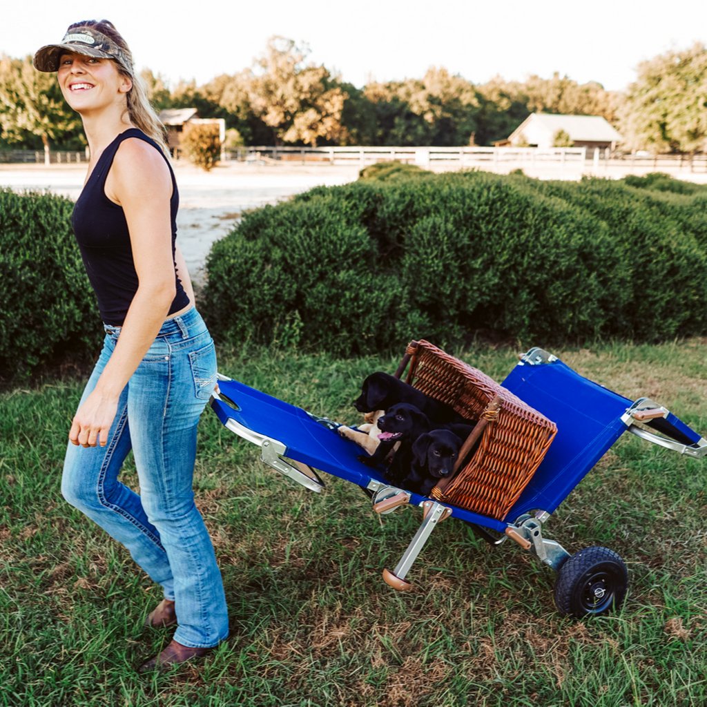 ome_gear's tweet photo. Here are the insanely adorable @palmettogundogs #pupsquad being carted by the #Wanderr to an adventure-packed weekend. 🐶🐶🐶🐶#DOITINNATURE  #exploremore #5in1chair #outdoorrecreationalchairs https://t.co/kUZ4C87mZJ