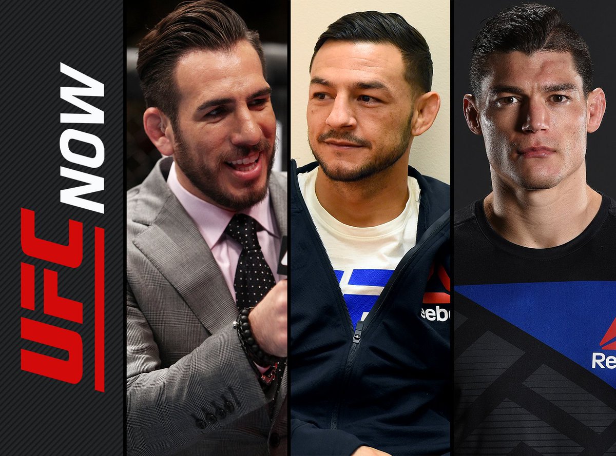 UFC Now tweet media