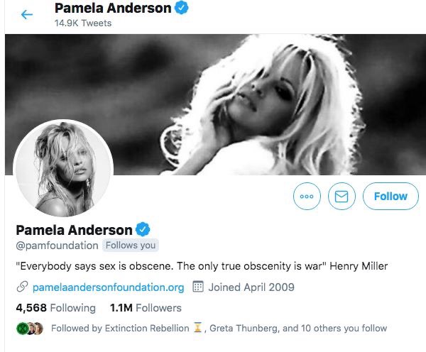 This1sNotaDrill's tweet photo. @GretaThunberg with 10,000 in Alberta + Pamela Anderson is following us on Twitter! What a day!! #GretaInAlberta #ClimateStrike #ClimateFirst #elx43 #thisisnotadrill #heyVOTE #canpoli #pamelaanderson #FridayMotivation https://t.co/sKC0BqL6kl