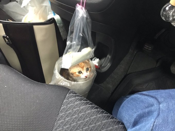 ゴミ箱のtwitterイラスト検索結果 古い順