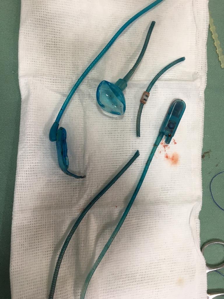 Marcelo Wroclawski tweet media