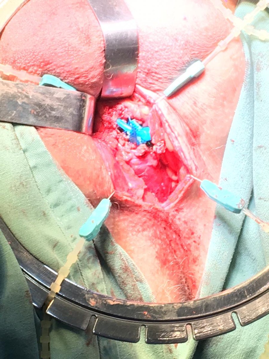 Marcelo Wroclawski tweet media