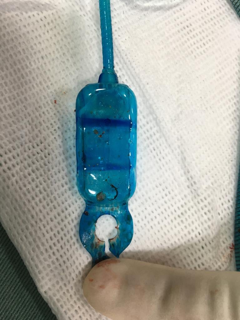 Marcelo Wroclawski tweet media