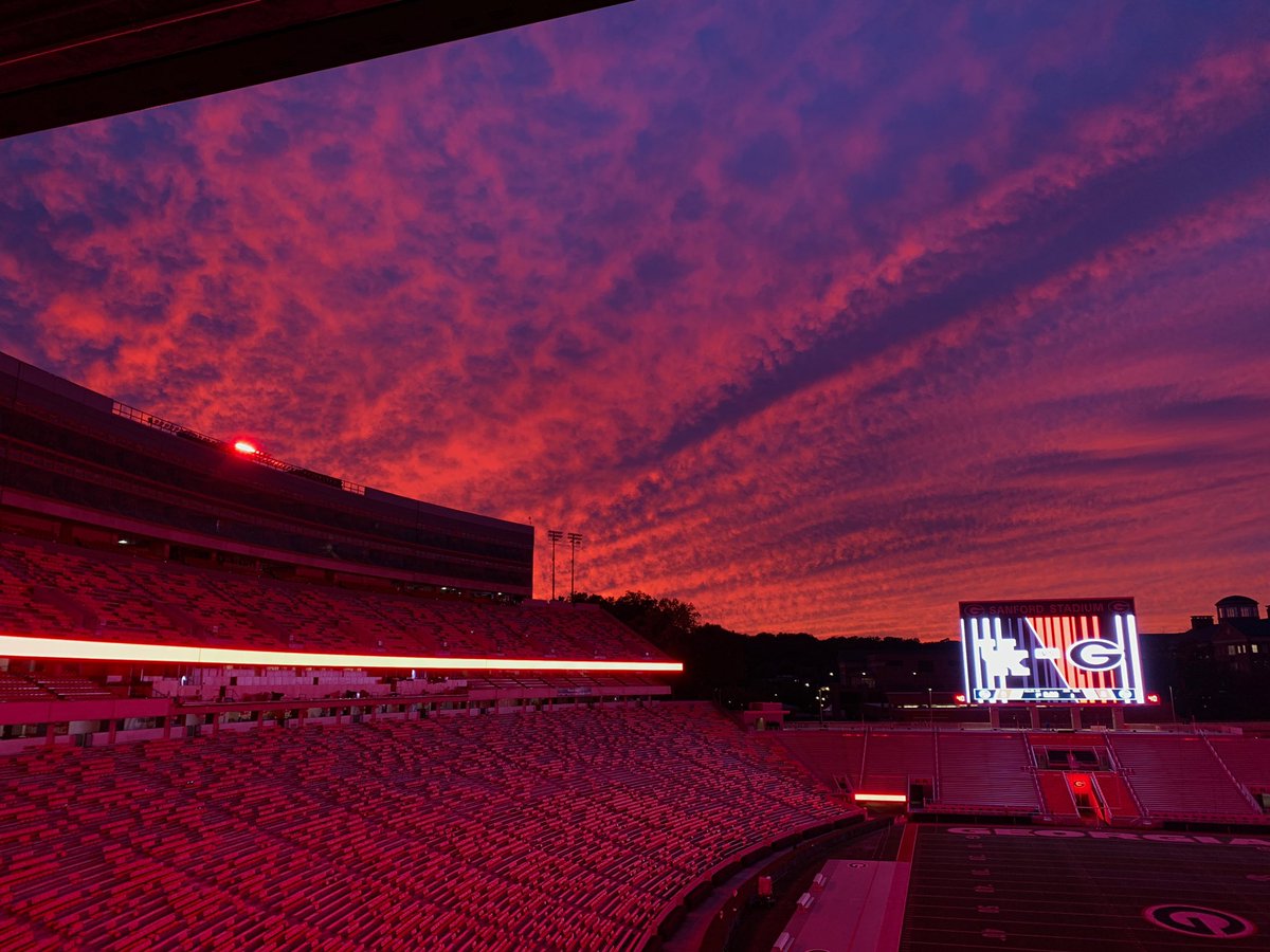 UGAAthletics's tweet photo. 🚫 Filter. #GoDawgs https://t.co/exx9AFdC78