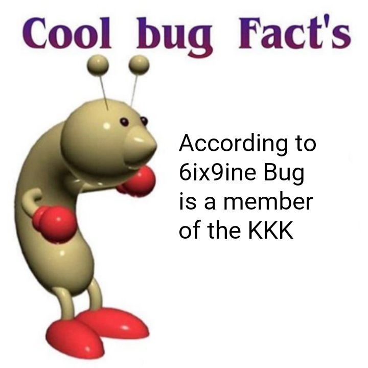 Cool Bug Fact's (@Coolbugofficial) / Posts / X