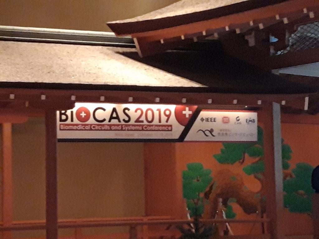 Nets3L's tweet photo. Thankful to the organizers @IEEEBioCAS and honoured to contribute as keynote speaker.  @IITalk https://t.co/WQgUR8PrMn