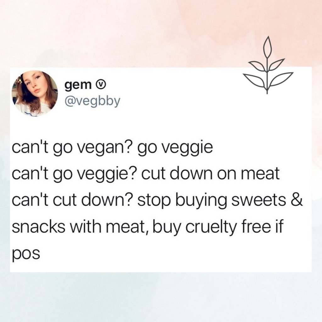 Every step forward counts ❤️ <a href="/vegbby/">gem</a>